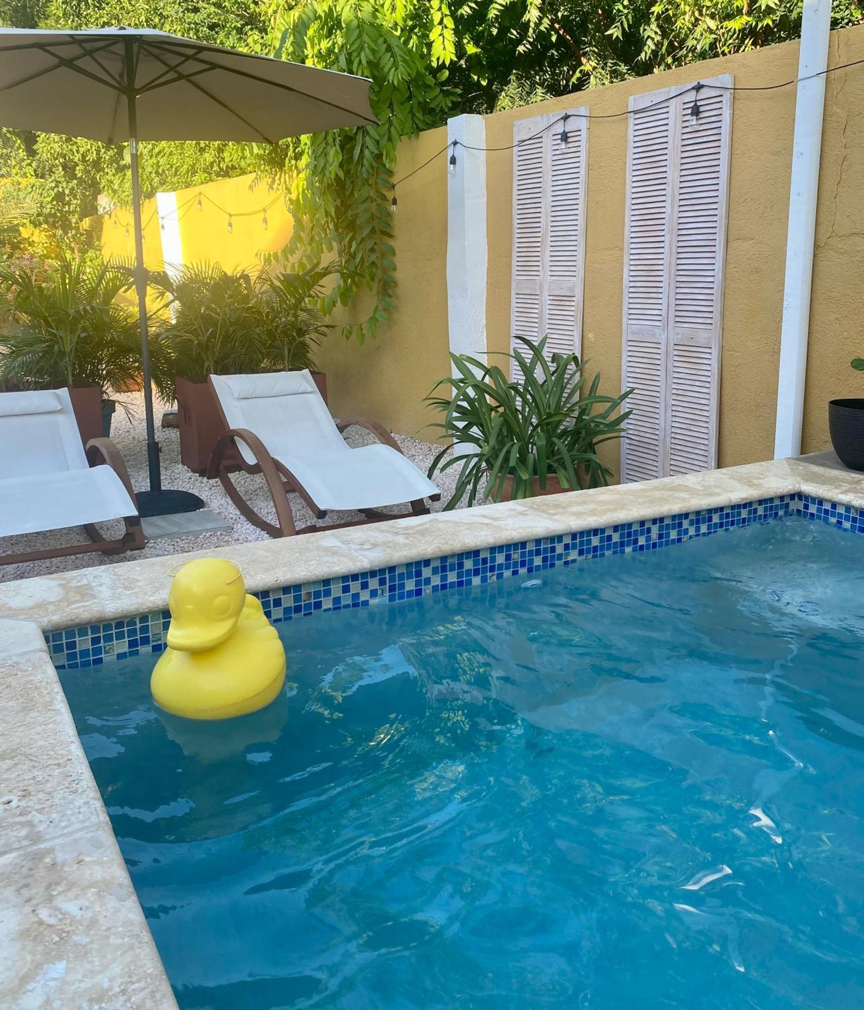 Historic Building The Palm Backyard Studio-Apartment Willemstad, Curacao Feel Home Away From Home Kültér fotó